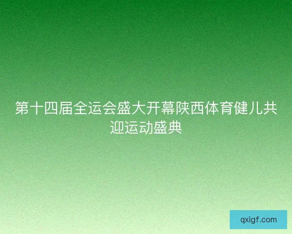 第十四届全运会盛大开幕陕西体育健儿共迎运动盛典