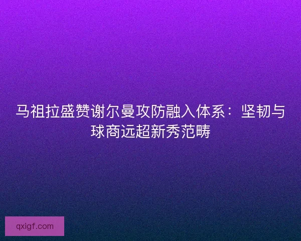 马祖拉盛赞谢尔曼攻防融入体系：坚韧与球商远超新秀范畴